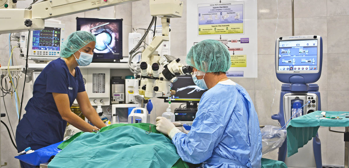Cirugía en Oftalmología Veterinaria Ocaña